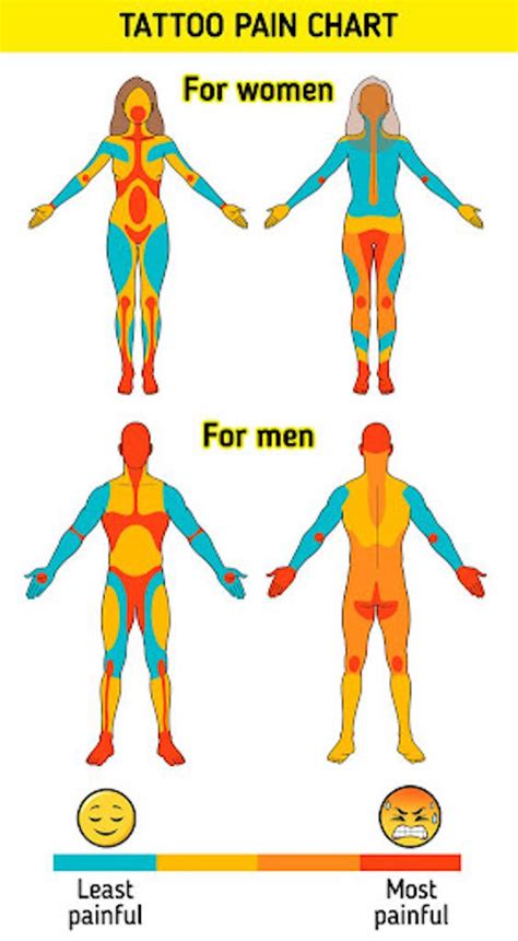 are lower back tattoos painful|Tattoo Pain Chart for Females and Males: Pain Scale。